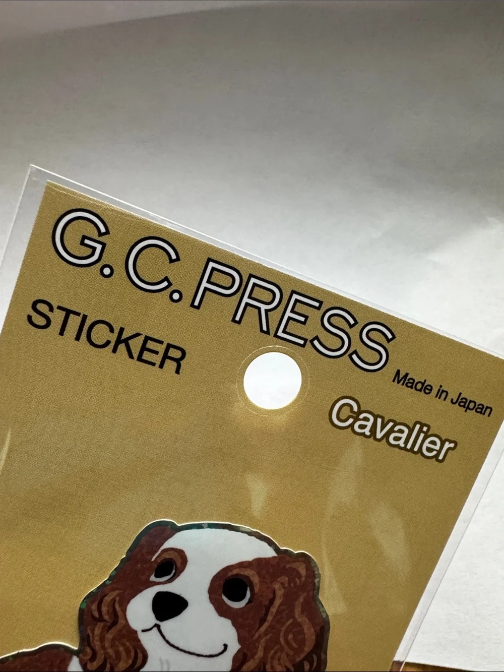 G.C. Press Cavalier Dog Sticker - White & Brown